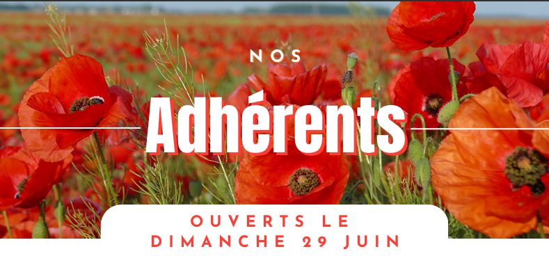 boutiques ouvertes le 29 juin