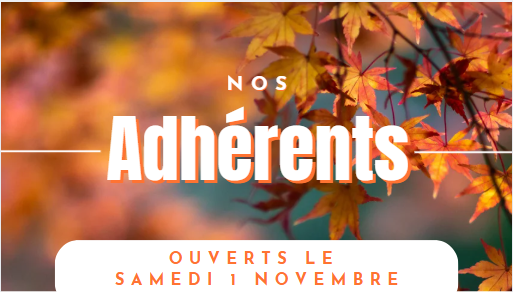 Capture d’écran 2025-10-27 153408