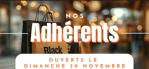 Capture d’écran 2025-11-03 143731