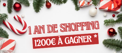 Capture d’écran 2025-12-01 112704