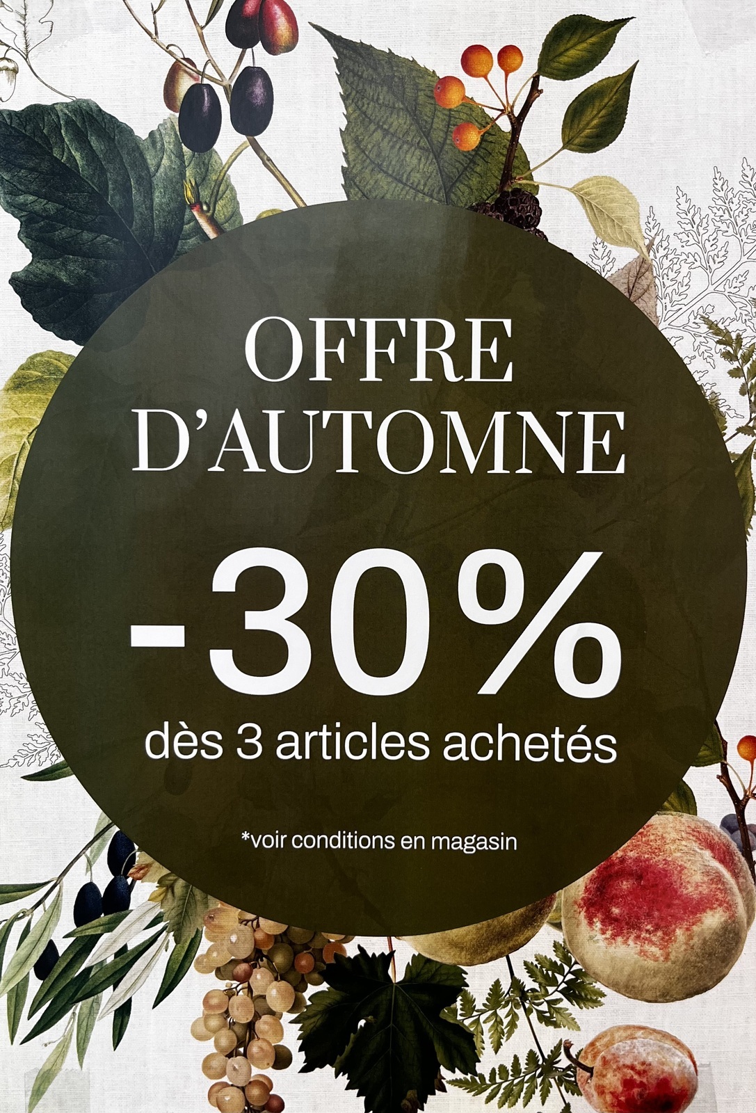 -30% dès 3 articles achetés