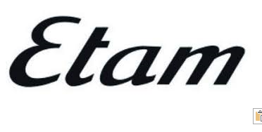 logo ETAM.PNG