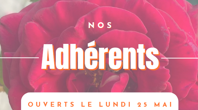 lundi 25 ferie site web